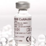 oocyte media