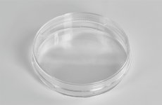 Cell culture dishes 100*20mm, PS, sterile