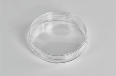 Cell culture dishes 60*15mm, PS, sterile, TC