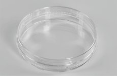 Cell culture dishes 150*20mm, PS, TC