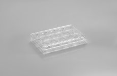 PakGent Cell culture plates 12well Cell culture plates 12well, PS, sterile, TC