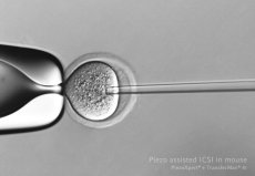 Synga Piezo Drill ICSI ID 4,5, MDR