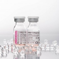 Collagenase it GM501 Air