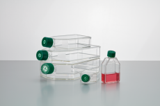 CytoOne T-150 Tissue Cult. Flask, vented