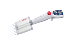 ErgoOne E 8-Channel Pipette Electronic, 1-20µl