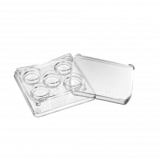 Square 5-Well Dish Round Edges