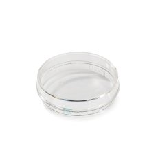 Petri Dish 60 mm - packed by 10 / 200 units per box