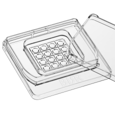 16-Well Dish packed by 6