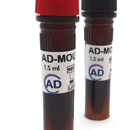 mounting medium with DAPI, ADM-H05