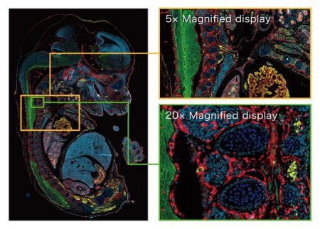 Fluorescence imaging module for S60