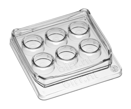 6-well dish BIRR